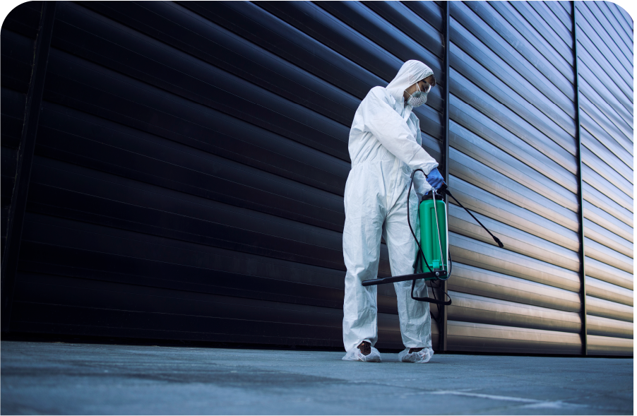 Dedetização Empresarial