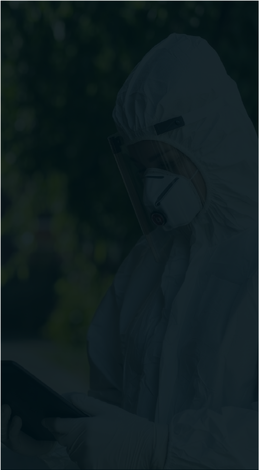 Fundo Dedetizadora Mobile